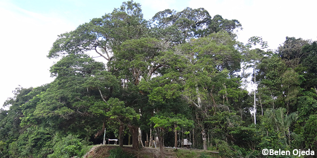 Sin título-4.jpg